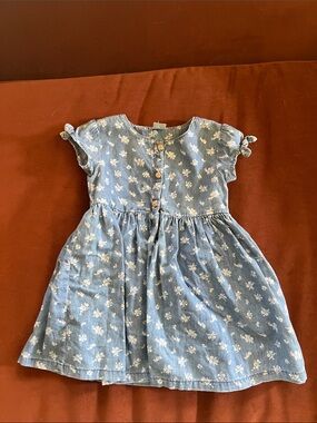 OshKosh B'gosh Blue Floral Denim Button-Front Dress
